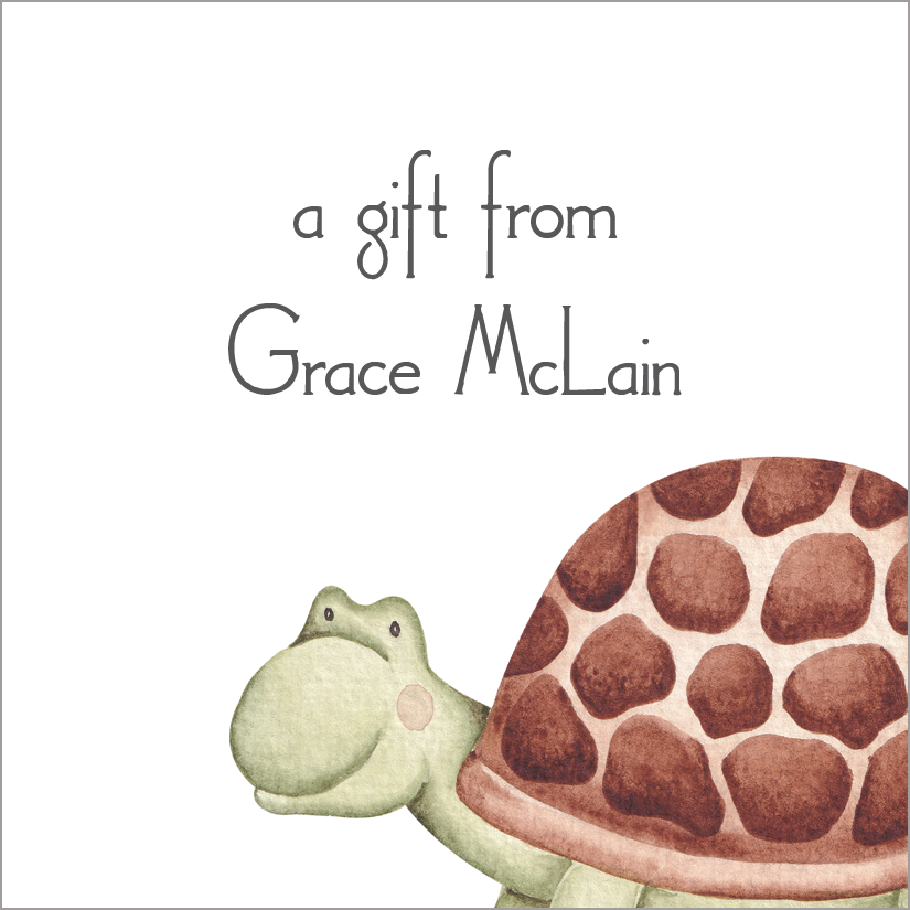 Gift Tag or Sticker  |  Turtle